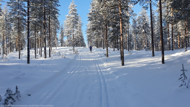 puukkojaerven lenkki im hossa nationalpark