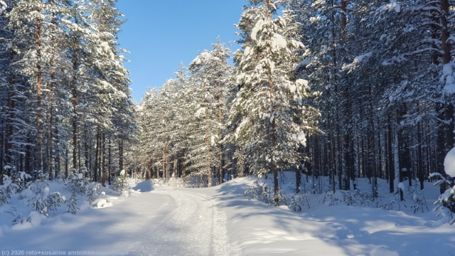 puukkojaerven lenkki im hossa nationalpark