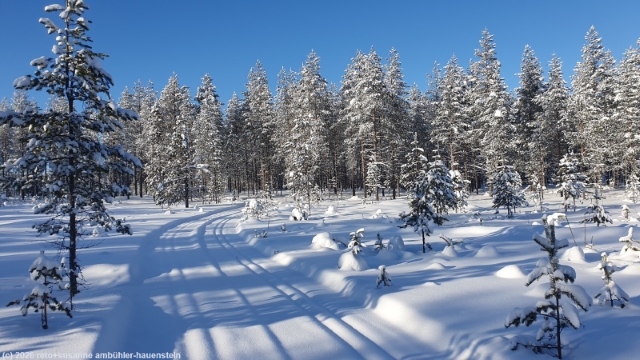 puukkojaerven lenkki im hossa nationalpark