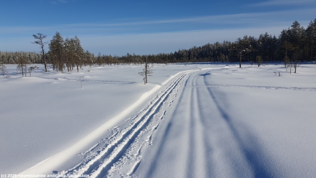 puukkojaerven lenkki ueber den kangaslammit im hossa nationalpark