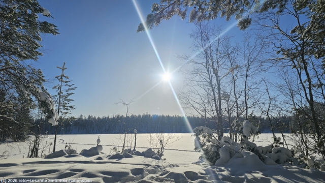 ausblick von der puukkojaervi laavu am puukkojaerven lenkki im hossa nationalpark