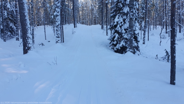 kurzer aufstieg im verlauf des puukkojaerven lenkki im hossa nationalpark