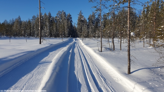 puukkojaerven lenkki im hossa nationalpark