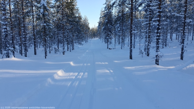 puukkojaerven lenkki bei hossa