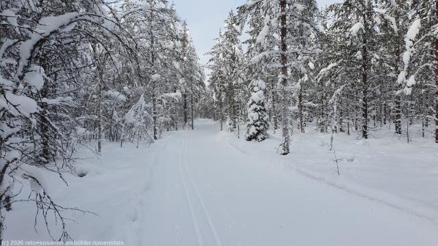 loipe turjanvaaran aurinkolatu bei posio