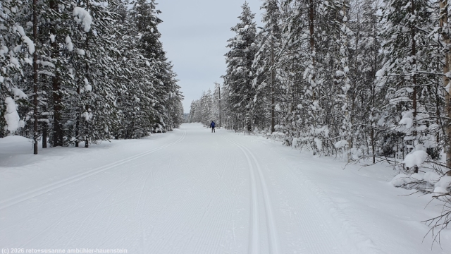 loipe pentik-maeki - kirintoevaara latu bei posio