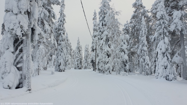 loipe kirintoevaaran ladut bei posio