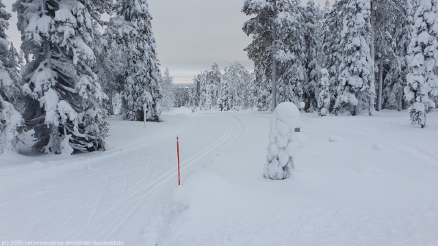 loipe kirintoevaara - himmerki yhdyslatu bei posio
