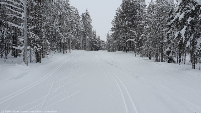 loipe pentik-maeki - kirintoevaara latu bei posio