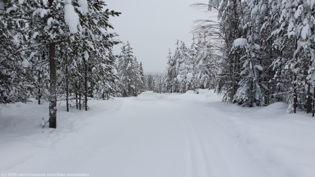 loipe kotivaaran latu bei posio