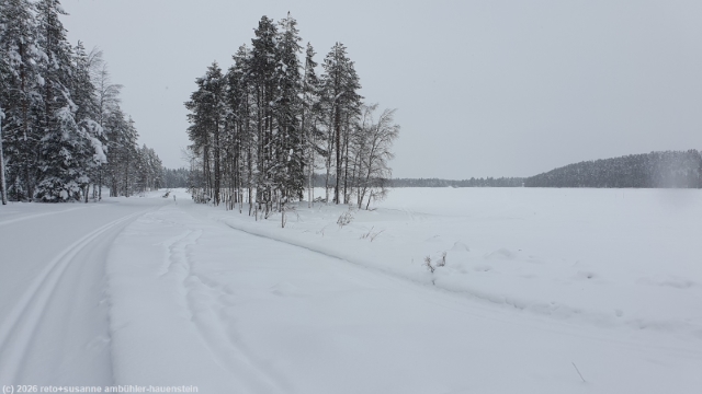loipe kotivaaran latu entlang des kotilahti bei posio