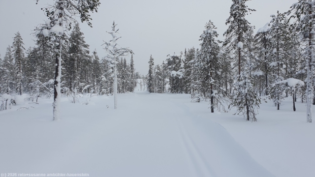 karitunturin eraemaalatu bei posio