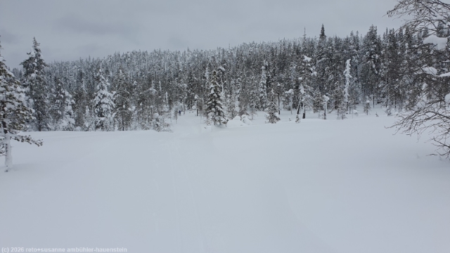 karitunturin eraemaalatu bei posio