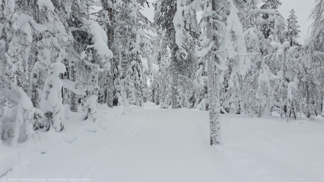karitunturin eraemaalatu bei posio