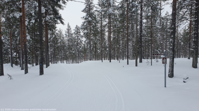 loipe kalliojaerven lenkki bei sallatunturi