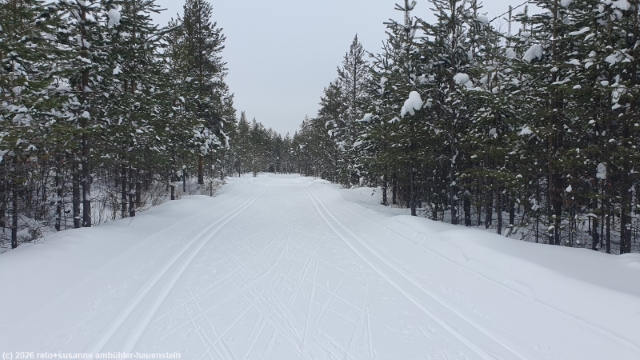 loipe kalliojaerven lenkki bei sallatunturi