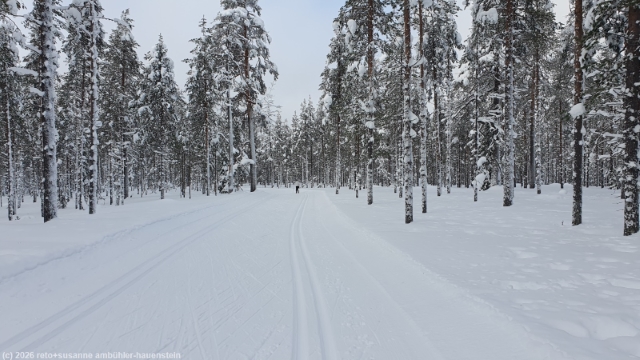 loipe ruuhitunturi-poropuisto-sallatunturi bei sallatunturi