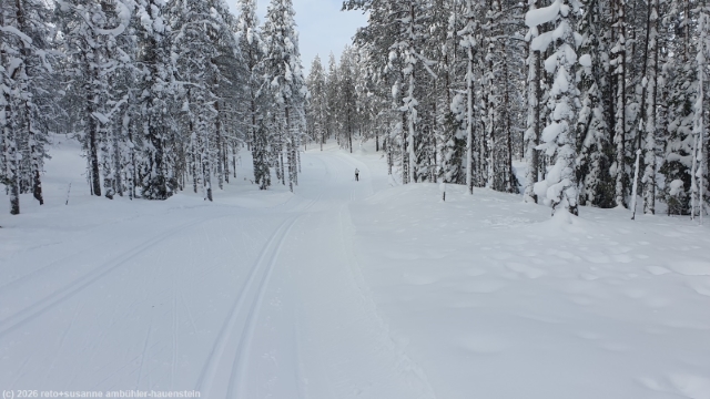 loipe ruuhitunturi-poropuisto-sallatunturi bei sallatunturi
