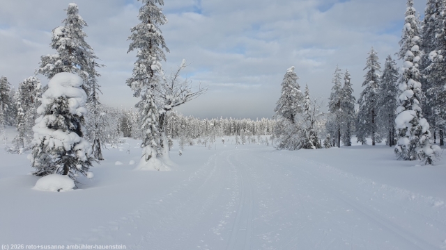 loipe ruuhitunturi-poropuisto-sallatunturi bei sallatunturi
