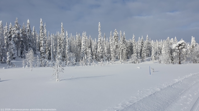 loipe ruuhitunturi-poropuisto-sallatunturi bei sallatunturi