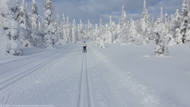 loipe ruuhitunturi-poropuisto-sallatunturi bei sallatunturi
