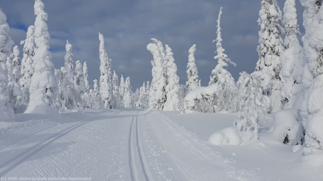 loipe ruuhitunturi-poropuisto-sallatunturi bei sallatunturi