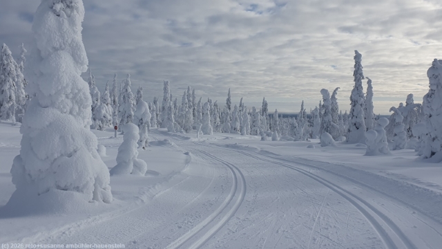 loipe ruuhitunturi-poropuisto-sallatunturi bei sallatunturi