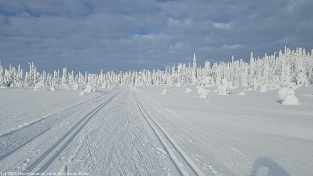 loipe sallatunturi-ruuhitunturi-poropuisto bei sallatunturi