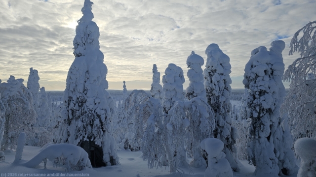 aussicht vom ruuhitunturin eraemaakahvila bei sallatunturi