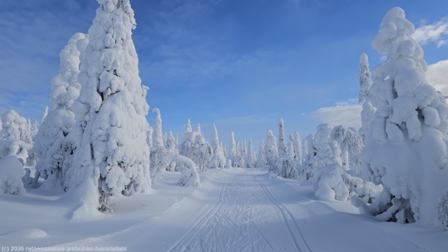 loipe ruuhitunturin latu durch fantastische winterlandschaft bei sallatunturi