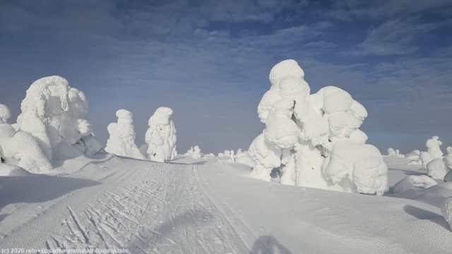 loipe ruuhitunturin latu durch fantastische winterlandschaft bei sallatunturi