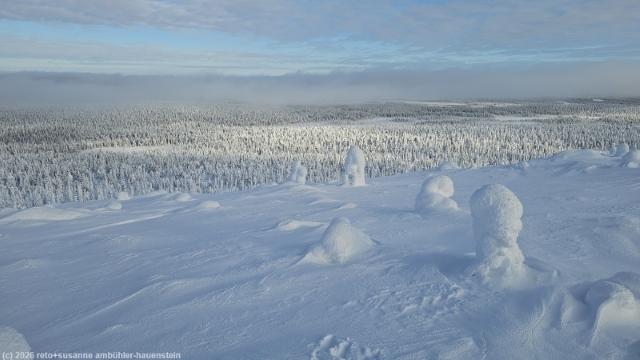blick auf die winterlandschaft vom ruuhitunturi naekoetorni bei sallatunturi