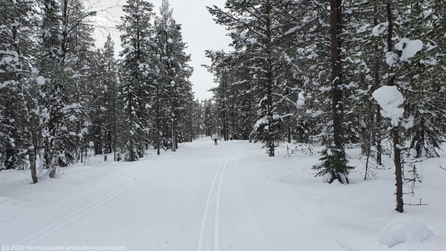 loipe kalliojaerven lenkki bei salla