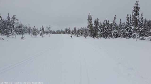 loipe kalliojaerven lenkki auf der flanke des marjavaara bei salla