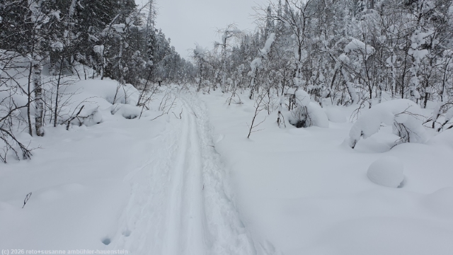 unpraeparierter abschnitt im verlauf des kalliojaerven lenkki bei salla