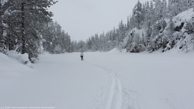 unpraeparierter abschnitt im verlauf des kalliojaerven lenkki ueber den kalliolampi bei salla