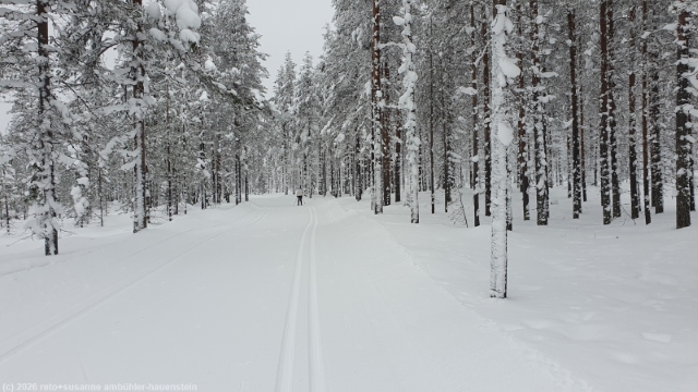 loipe kalliojaerven lenkki durch winterwald bei salla