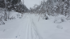 unpraeparierter abschnitt im verlauf des kalliojaerven lenkki bei salla