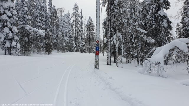 loipennummern an der kaunisharjun latu bei sallatunturi