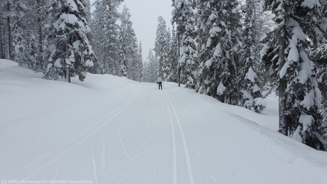 loipe kaunisharjun latu bei sallatunturi