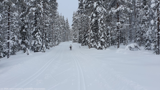 loipe kaunisharjun latu bei sallatunturi