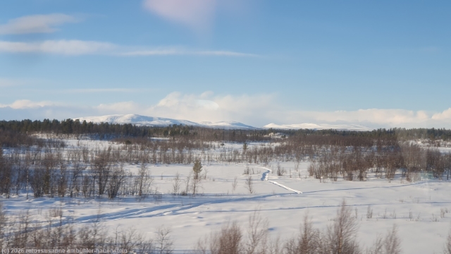 winterliche landschaft zwischen gaellivare und kiruna