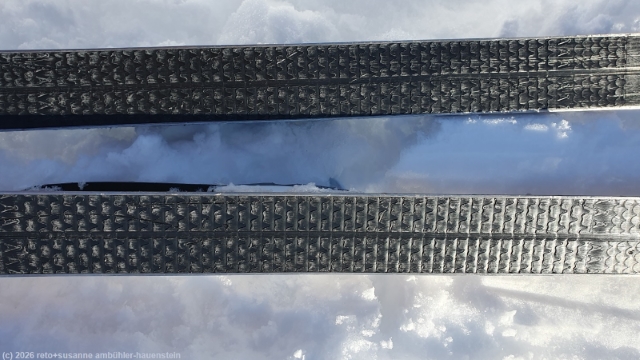 schuppenbelag der waldskis