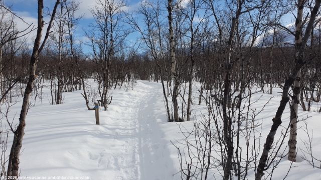 weg von der abisko turiststation auf den paddus
