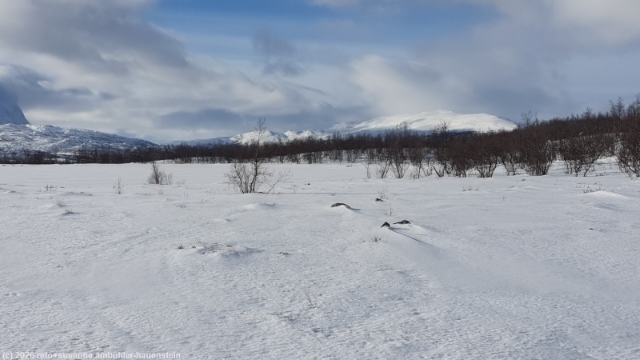 aufstieg durch winterlandschaft von der abisko turiststation auf den paddus