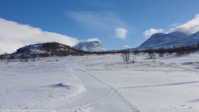 paddus und lapporten bei abisko