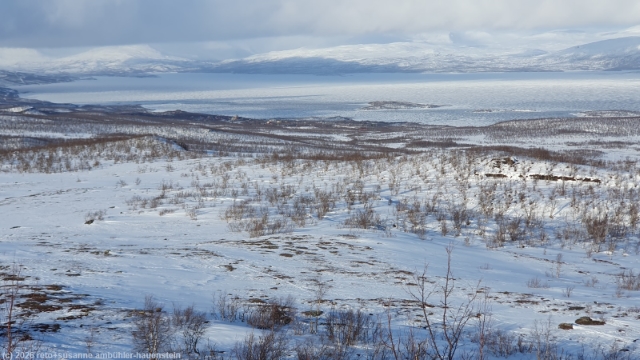 ausblick auf den tornetraesk waehrend dem abstieg vom paddus nach abisko