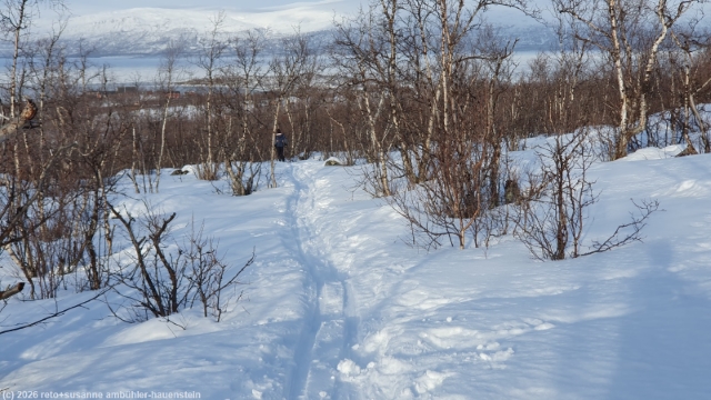 weg vom paddus nach abisko