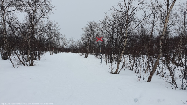 weg von der abisko turiststation richtung karsavagge