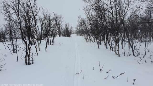 weg von der abisko turiststation richtung karsavagge